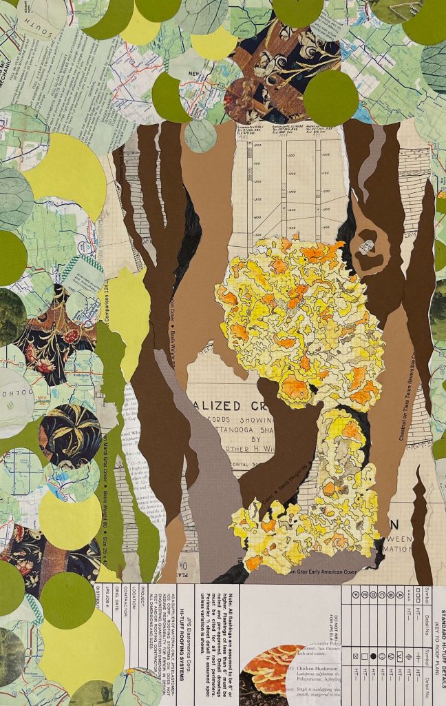 yellow and orange illustration of a chicken of the woods fungus set into a collaged tree
