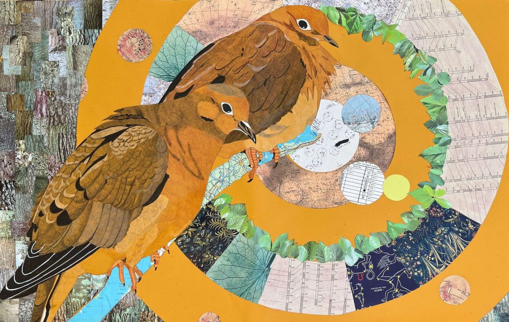 large scale illustration of two mourning doves on a branch with concentric circles collaged in the background