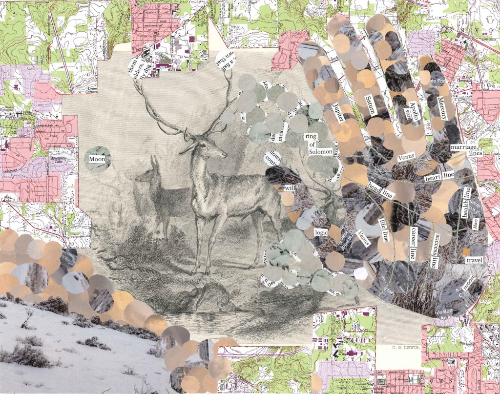 collage with large pink spider in the center, concentric circles expanding outward with newspaper clippings and a water color flower on the right