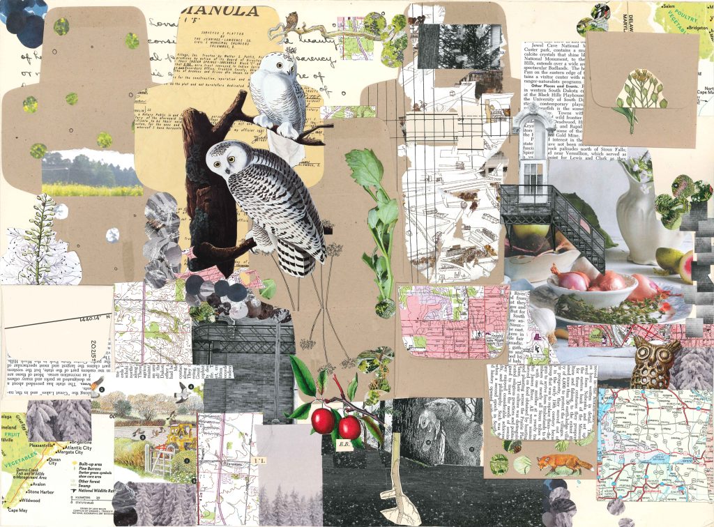 collage of small brown envelopes, botanical images, and maps. There are two snowy owls on the left third of the artwork
