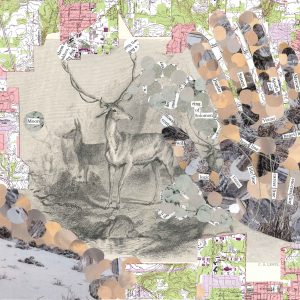 Heart and Palm, 2016, Mixed media collage, 9 inches x 11.5 inches illustration of two deer, one with antlers, surrounded by a collaged border of topographical maps. On the right side of the image is the outline of a hand filled in with small brown, black, and grey circles. The lines on the hand are stitched in and labeled according to a palm reader's map
