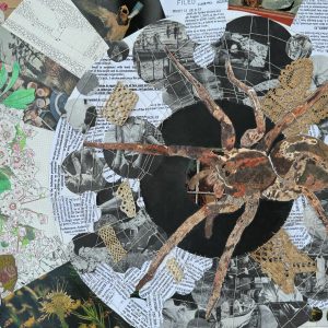 Wolf Spider, 2024, Mixed media drawing and collage, 18 inches x 24 inches wolf spider in the right two thirds of artwork surrounded by collaged concentric circles of images and court documents