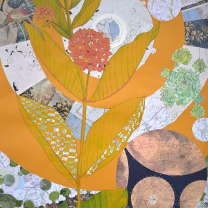 Silky Swallow-Wort, 2023, Mixed media drawing and collage, 35 inches x 23.25 inches large format drawing of milkweed plant surrounded by concentric circles of collaged elements, primarily maps on dark yellow paper