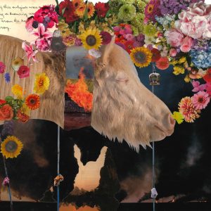 Head Trash, 2018, Mixed media collage, 19 inches x 17 inches collage image of a white pony. The pony's head is separated from it's neck by an image of fire. A cloud of flowers is emerging from the pony's nose and floating above its head and over its back.