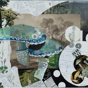 Verdegris, 2024, Mixed media drawing and collage, 12 inches x 16 inches greenish blue mushrooms on a collaged background of circles picturing other mushrooms, field guide pages, and vintage classified adds